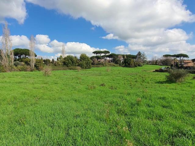Agricoli in vendita