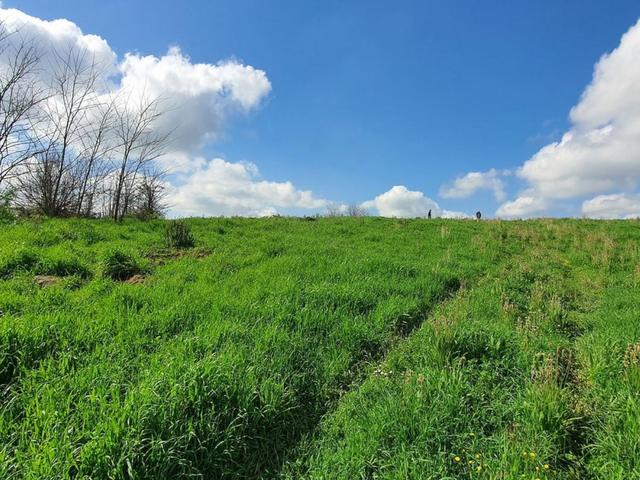 Agricoli in vendita
