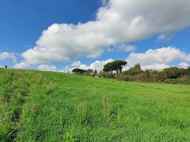 Agricoli in vendita