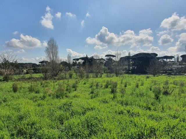 Agricoli in vendita