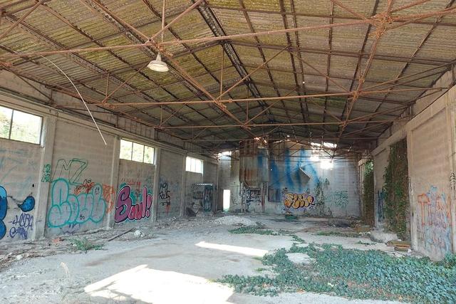 #22066 Ex stabilimento industriale con terreno in vendita - foto 9