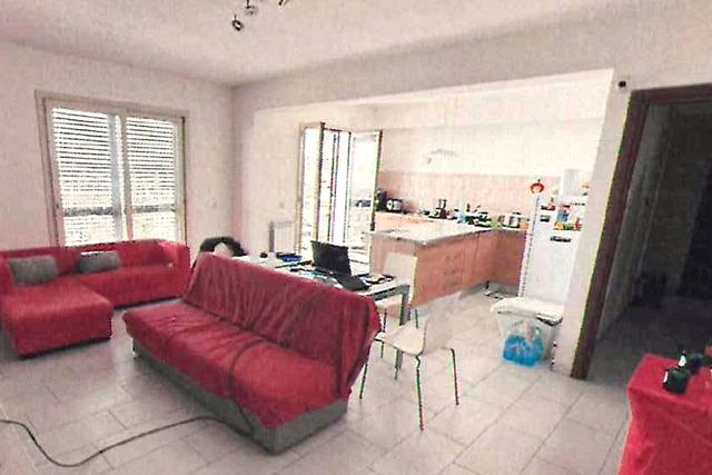 photogallery 3