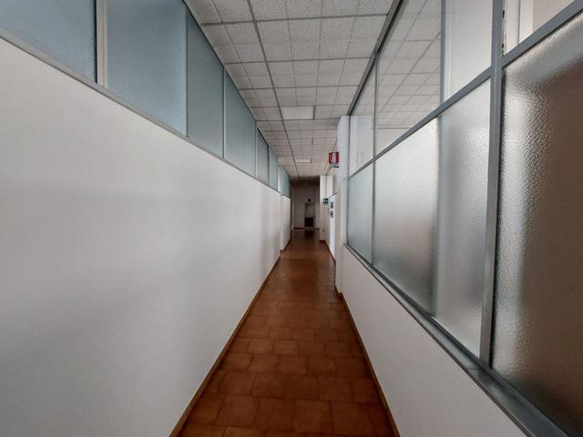 Grandi dimensioni in vendita