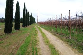 Agricoli in vendita