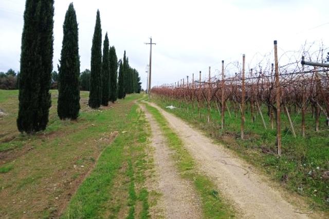 Agricoli in vendita