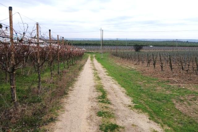 Agricoli in vendita