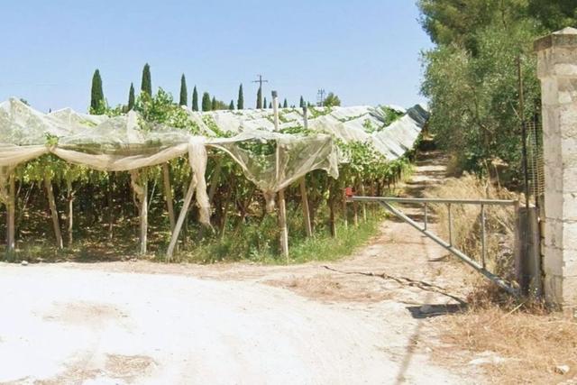 #2639654 Striscia di terreno in contesto agricolo in vendita - foto 3