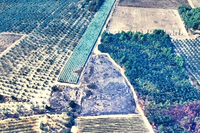 Agricoli in vendita