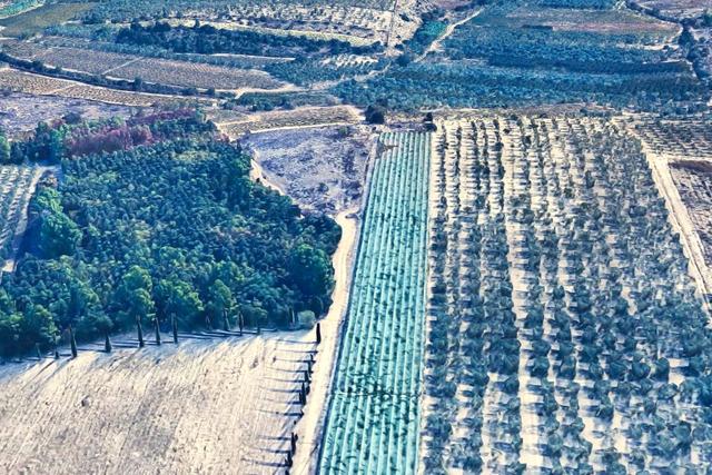 Agricoli in vendita
