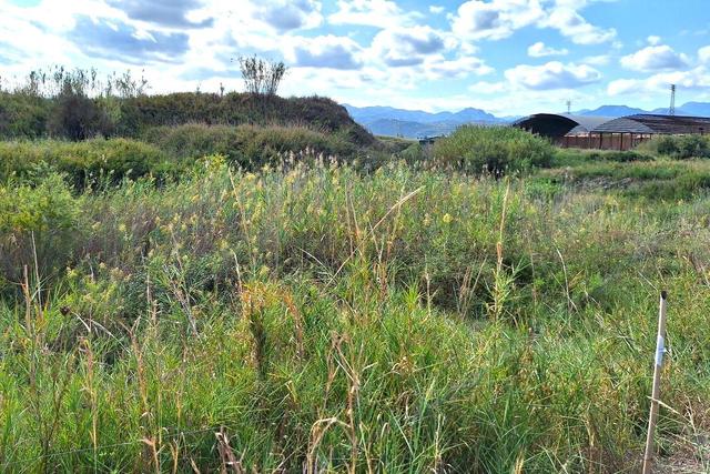 Agricoli in vendita