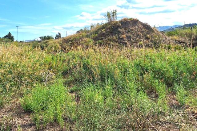 Agricoli in vendita