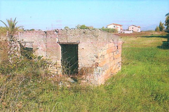 Agricoli in vendita