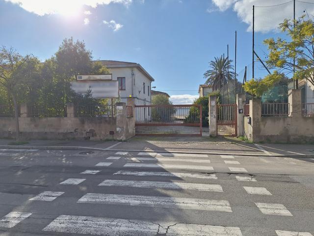 Grandi dimensioni in vendita