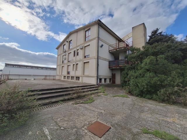 Grandi dimensioni in vendita