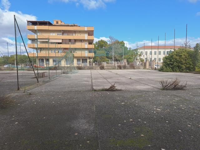 Grandi dimensioni in vendita