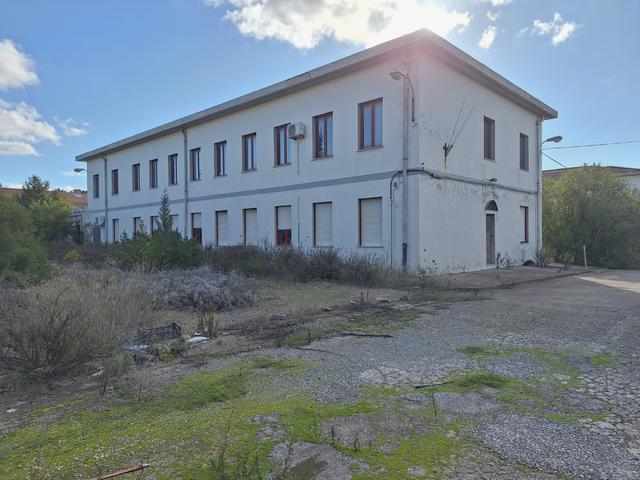 Grandi dimensioni in vendita