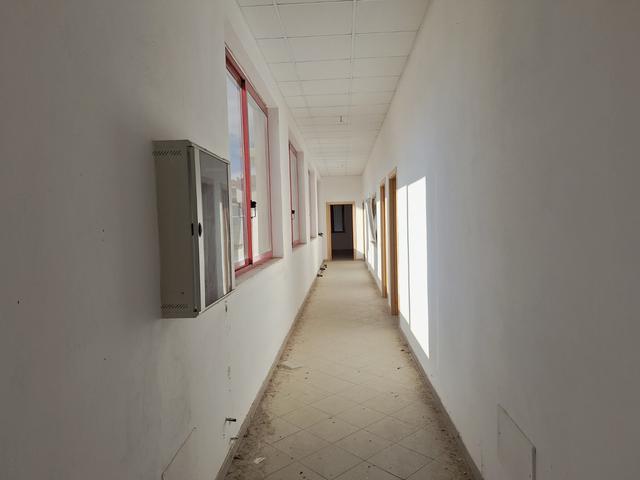 Grandi dimensioni in vendita