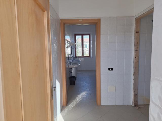 Grandi dimensioni in vendita