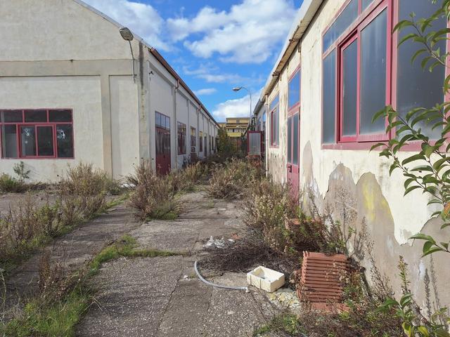 Grandi dimensioni in vendita