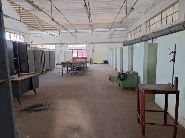 Grandi dimensioni in vendita