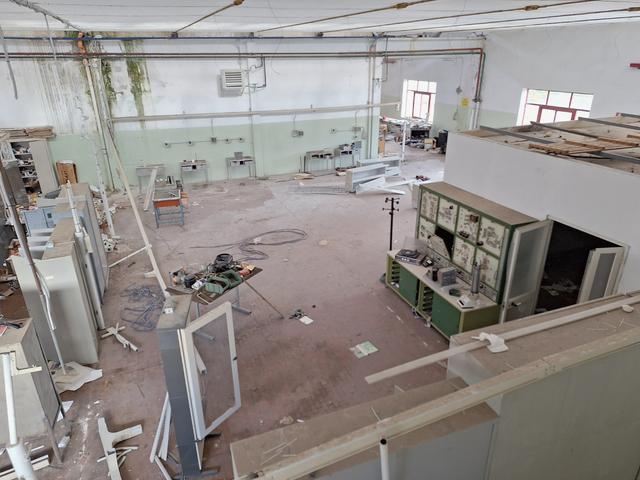 Grandi dimensioni in vendita