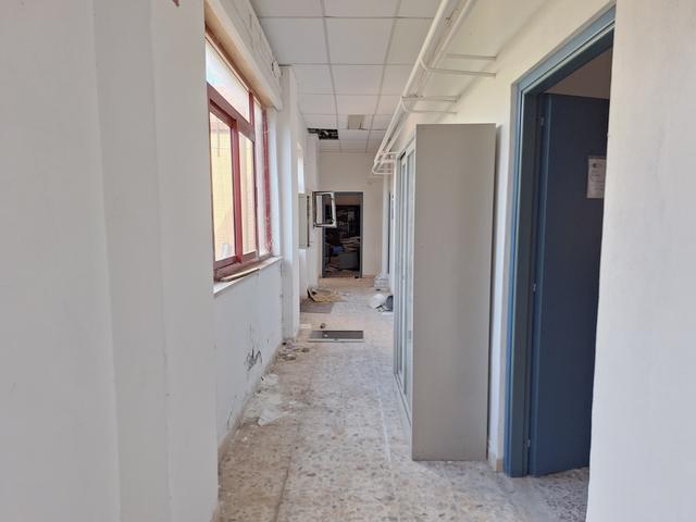 Grandi dimensioni in vendita