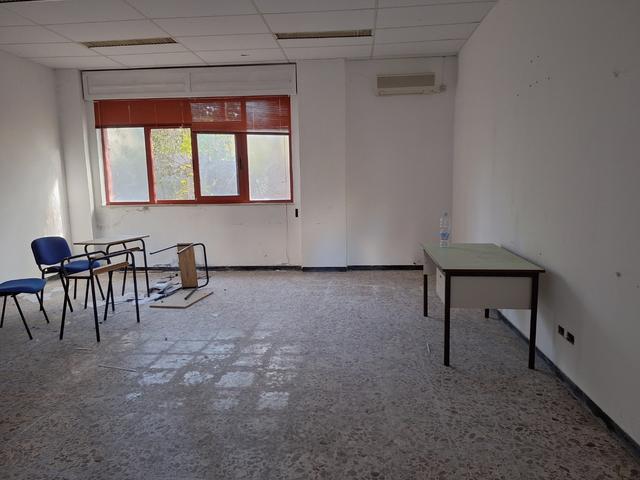 Grandi dimensioni in vendita