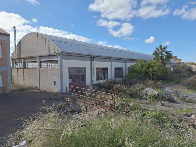 Grandi dimensioni in vendita