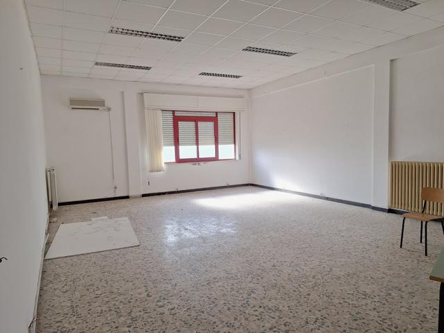 Grandi dimensioni in vendita