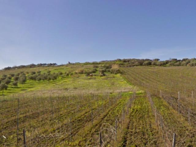 Agricoli in vendita