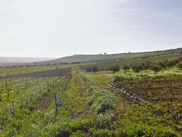 Agricoli in vendita