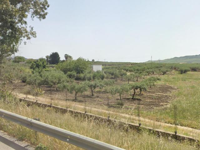 Agricoli in vendita