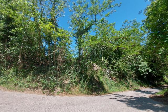 #23916 Terreno edificabile residenziale in collina in vendita - foto 13