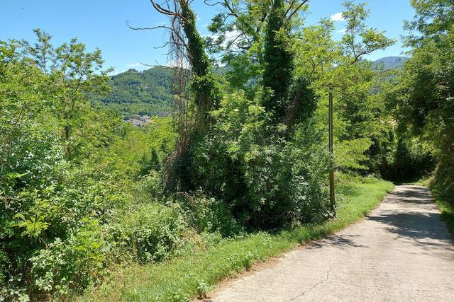 #23916 Terreno edificabile residenziale in collina in vendita - foto 11