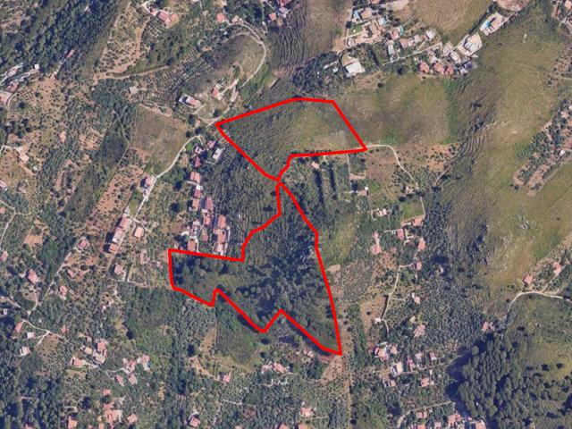 Agricoli in vendita