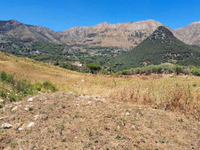 Agricoli in vendita