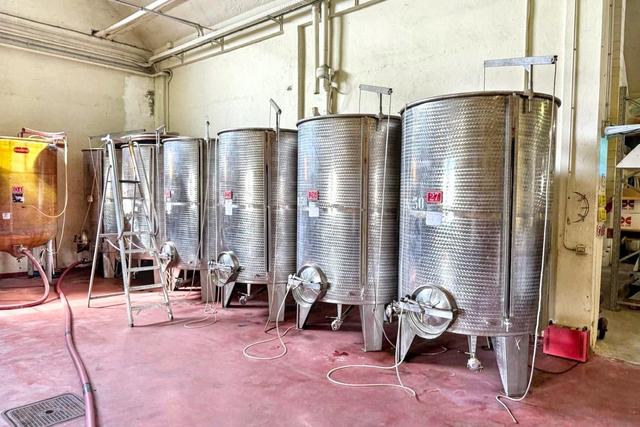 #2537245 Stabilimento enologico con beni strumentali in vendita - foto 7
