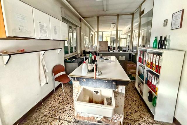 #2537245 Stabilimento enologico con beni strumentali in vendita - foto 16