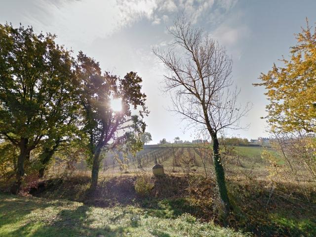 Agricoli in vendita