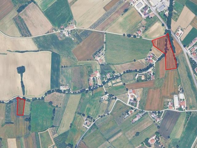 Agricoli in vendita