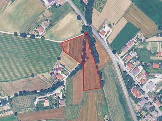 Agricoli in vendita