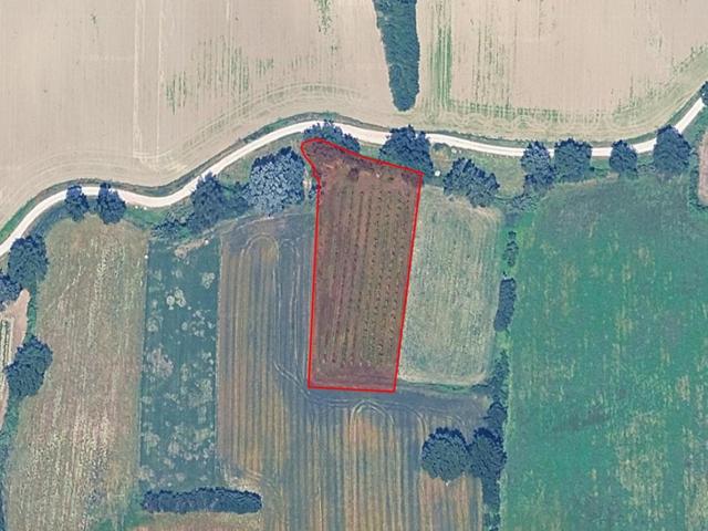 Agricoli in vendita