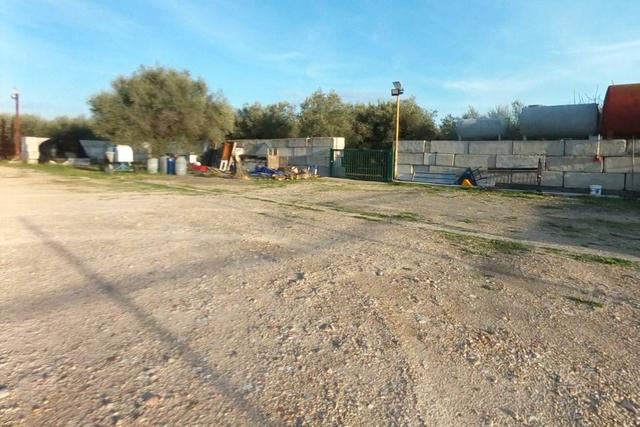 #25778 Enfiteusi su appezzamento agricolo in vendita - foto 3