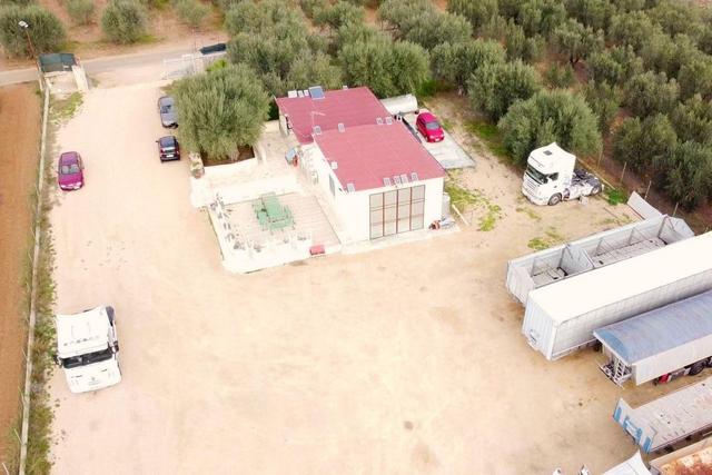 #25778 Enfiteusi su appezzamento agricolo in vendita - foto 4