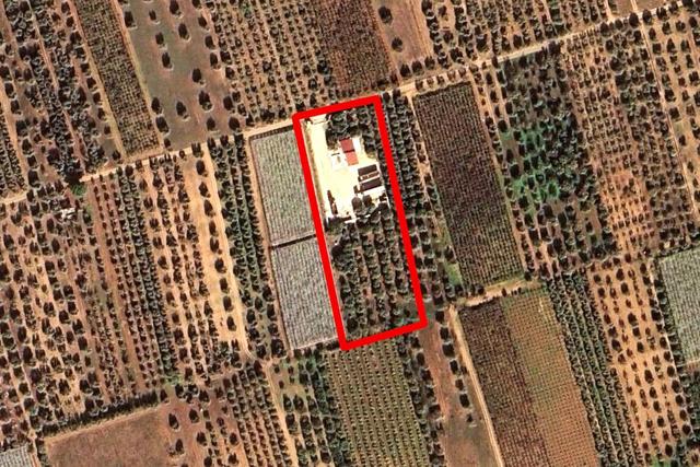 #25778 Enfiteusi su appezzamento agricolo in vendita - foto 11