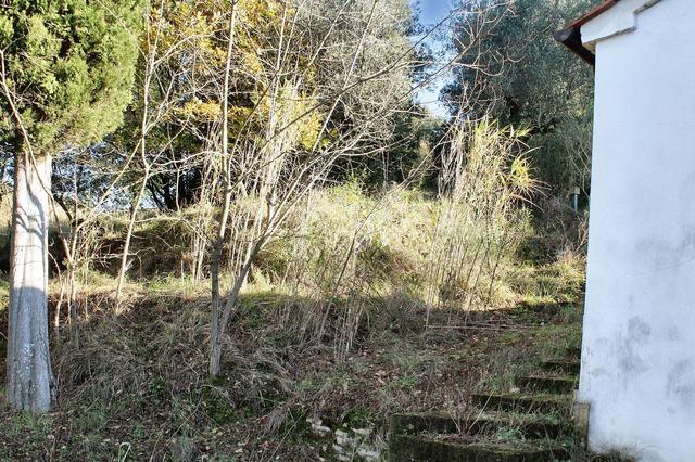 Rustici e casali in vendita