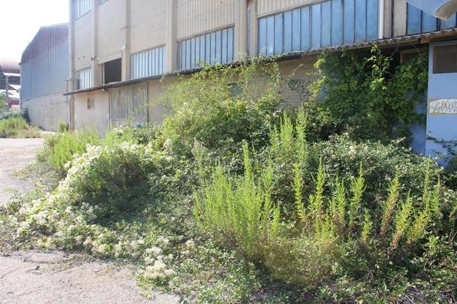 #11192 Stabilimento industriale e terreni edificabili in vendita - foto 2