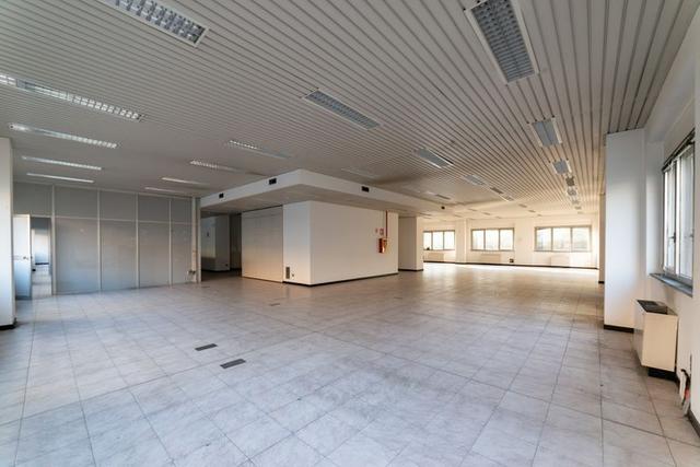 #2537729 Edificio cielo terra indipendente con parcheggio sotterraneo privato e ampia area esterna in vendita - foto 8