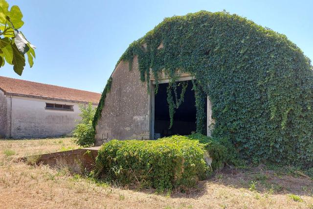 #19448 Complesso artigianale con cortile e pertinenze in vendita - foto 16