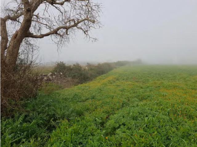 Agricoli in vendita